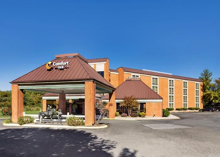 Comfort Inn Virginia Horse Center